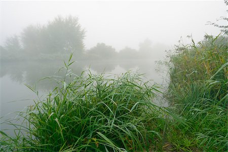 simsearch:600-06962167,k - Lake and Reeds in Early Morning Fog, Hesse, Germany Photographie de stock - Premium Libres de Droits, Code: 600-07110860