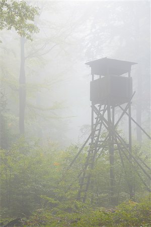 Hunting Blind in Beech Forest, Spessart, Bavaria, Germany Foto de stock - Sin royalties Premium, Código: 600-07148135