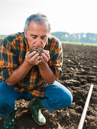 simsearch:600-07148353,k - Farmer working in field, holding and smelling soil in hands, Germany Foto de stock - Sin royalties Premium, Código: 600-07148334