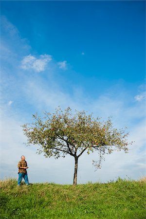 single apple - Farmer standing in field, inspecting apple tree, Germany Stock Photo - Premium Royalty-Free, Code: 600-07148340