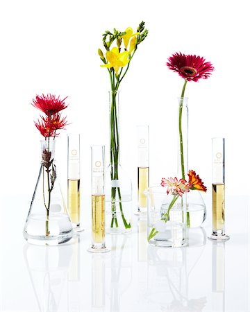 Beakers with flowers and test tubes with wine for party, studio shot Foto de stock - Royalty Free Premium, Número: 600-07156132