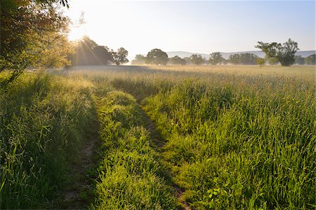 Path in meadow with sun in Spring, Kahl, Alzenau, Bavaria, Germany Stock Photo - Premium Royalty-Free, Code: 600-07156455