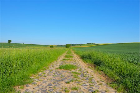 Field Path in Spring, Buedingen, Hesse, Germany Stock Photo - Premium Royalty-Free, Code: 600-07156460