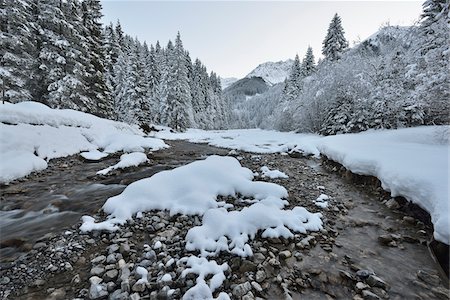 simsearch:600-06964178,k - Mountain Stream in Winter with snow coverd trees and mountain, Berwang, Alps, Tyrol, Austria Fotografie stock - Premium Royalty-Free, Codice: 600-07156475