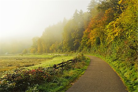 foggy landscape - Rural Morning Scene, near Dahn, Palatinate Forest, Rhineland-Palatinate, Germany Stock Photo - Premium Royalty-Free, Code: 600-07199326