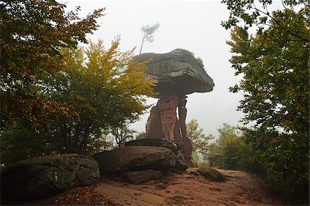 deciduous - Devil's Table (Teufelstisch), Hinterweidenthal, Palatinate Forest, Rhineland-Palatinate, Germany Stock Photo - Premium Royalty-Free, Code: 600-07199320