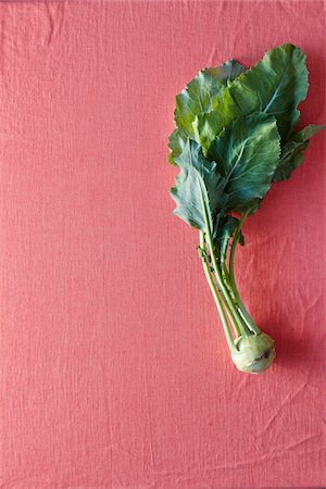 Single Bulb of Kohlrabi Fresh from the Garden, on Pink Background Stock Photo - Premium Royalty-Free, Code: 600-07204023