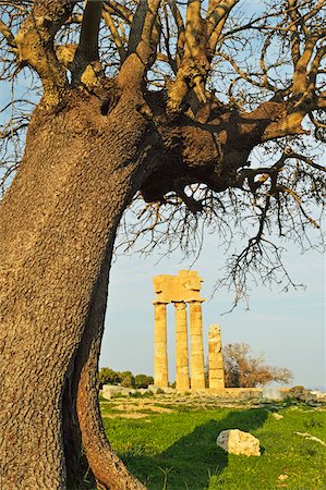 Ruins of Apollo Temple at the Acropolis of Rhodes, Rhodes City, Rhodes, Dodecanese, Aegean See, Greece, Europe Foto de stock - Sin royalties Premium, Código: 600-07202688