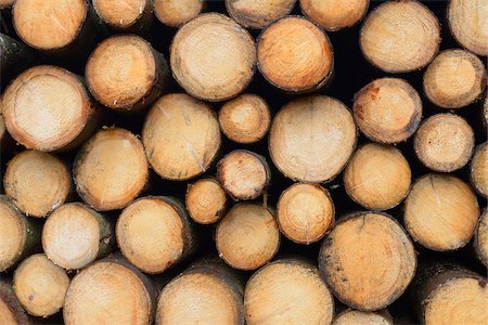 Stack of Spruce Logs, Odenwald, Hesse, Germany Foto de stock - Sin royalties Premium, Código: 600-07279128