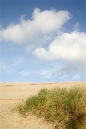 simsearch:600-06407687,k - Grass on Sand Dune, Dune du Pilat, Arcachon, France Photographie de stock - Premium Libres de Droits, Code: 600-07279385