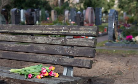 eternity - Close-up of a bunch of tulips on wooden bench at cemetery, Germany Stock Photo - Premium Royalty-Free, Code: 600-07288024