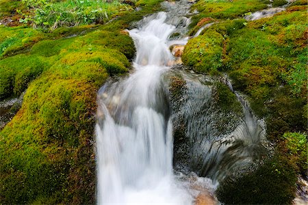 simsearch:600-06531786,k - Flowing Water through Moss Covered Rocks, Trentino-Alto Adige, Dolomites, Italy Stock Photo - Premium Royalty-Free, Code: 600-07288066