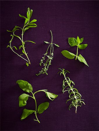 five objects - Overhead View of Herbs, Studio Shot Stock Photo - Premium Royalty-Free, Code: 600-07311268