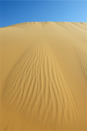 Sand Dune and Blue Sky, Matruh, Great Sand Sea, Libyan Desert, Sahara Desert, Egypt, North Africa, Africa Stock Photo - Premium Royalty-Free, Code: 600-07431221