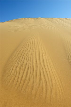 simsearch:700-01124780,k - Sand Dune and Blue Sky, Matruh, Great Sand Sea, Libyan Desert, Sahara Desert, Egypt, North Africa, Africa Stock Photo - Premium Royalty-Free, Code: 600-07431221