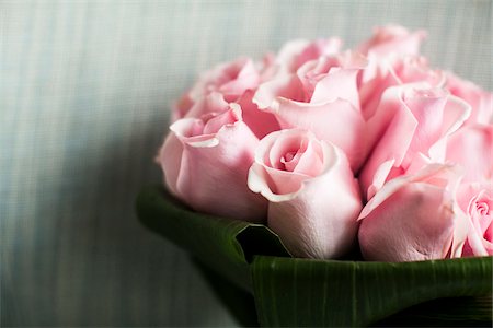 Close-up of Bouquet of Pink Roses Photographie de stock - Premium Libres de Droits, Code: 600-07451036