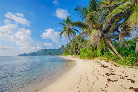 Anse Forbans Shoreline with Palm Trees, Mahe, Seychelles Foto de stock - Sin royalties Premium, Código: 600-07453869