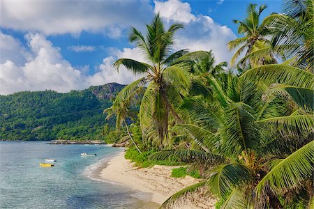 seychelles landscape - Anse Forbans Shoreline with Palm Trees, Mahe, Seychelles Stock Photo - Premium Royalty-Free, Code: 600-07453871