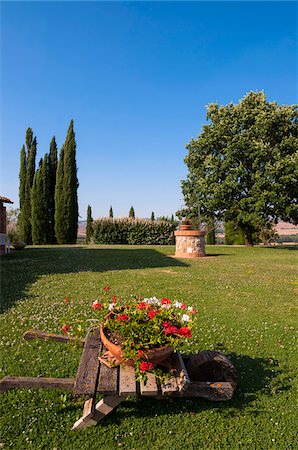 potted plants italy - View of Garden, Val d'Orcia, Province of Siena, Tuscany, Italy Stock Photo - Premium Royalty-Free, Code: 600-07487409