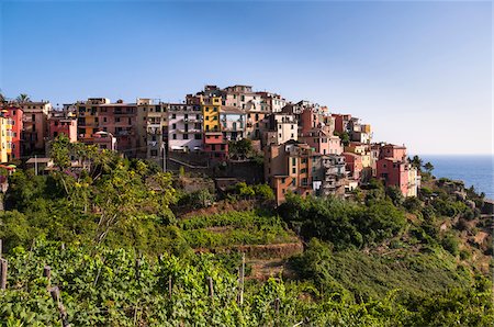 simsearch:600-05756272,k - Corniglia on top of Promontory, Cinque Terre, La Spezia District, Italian Riviera, Liguria, Italy Stock Photo - Premium Royalty-Free, Code: 600-07487516