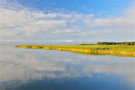 Shoreline with Reeds, Born auf dem Darss, Barther Bodden, Fischland-Darss-Zingst, Mecklenburg-Vorpommern, Germany Stock Photo - Premium Royalty-Free, Code: 600-07487549