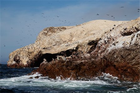 sanctuary nature photography - Penguins at Wildlife Sactuary on Ballestas Islands, Paracas, Pisco Province, Peru Photographie de stock - Premium Libres de Droits, Code: 600-07529048