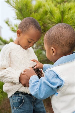 pin noir d'autrice - Brothers Collecting Pine Cones in Sweater, Maryland, USA Photographie de stock - Premium Libres de Droits, Code: 600-07529163