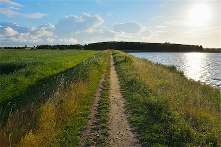 Dike Path at Fluegger Watt with Sun, Baltic Island of Fehmarn, Schleswig-Holstein, Germany Stockbilder - Premium RF Lizenzfrei, Bildnummer: 600-07564064