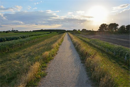 Dike Path with Sun, Summer, Baltic Island of Fehmarn, Schleswig-Holstein, Germany Stock Photo - Premium Royalty-Free, Code: 600-07564060