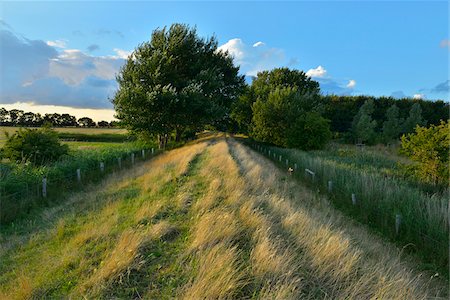 serene landscape - Dike in Summer, Fluegger Watt, Baltic Island of Fehmarn, Schleswig-Holstein, Germany Stock Photo - Premium Royalty-Free, Code: 600-07564061