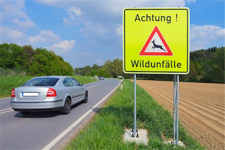 danger - Car Passing Deer Crossing Sign, Odenwald, Hesse, Germany Stock Photo - Premium Royalty-Free, Code: 600-07561360