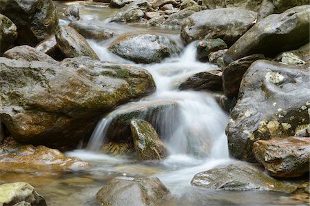 simsearch:600-08082984,k - Close-up view of waterfalls in a forest in spring, Bodenmais, Regen District, Bavarian Forest National Park, Bavaria, Germany Stockbilder - Premium RF Lizenzfrei, Bildnummer: 600-07599774