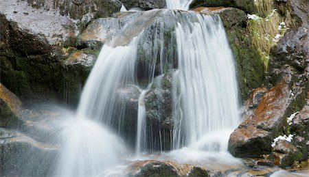 Waterfalls in a forest in spring, Bodenmais, Regen District, Bavarian Forest National Park, Bavaria, Germany Foto de stock - Sin royalties Premium, Código: 600-07599775