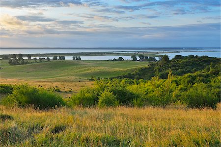 field sky landscape - View from Dornbusch in the Morning, Summer, Baltic Island of Hiddensee, Baltic Sea, Western Pomerania, Germany Stock Photo - Premium Royalty-Free, Code: 600-07599917