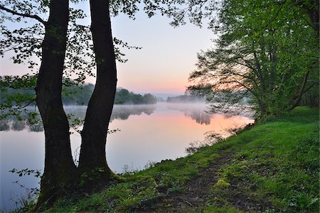 Shore with Trees at River Main in the Dawn, Spring, Dorfprozelten, Spessart, Franconia, Bavaria, Germany Stock Photo - Premium Royalty-Free, Code: 600-07599956