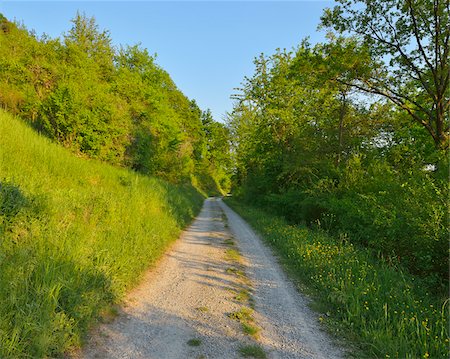 Path through Countryside in Spring, Grossheubach, Spessart, Franconia, Bavaria, Germany Stockbilder - Premium RF Lizenzfrei, Bildnummer: 600-07599961