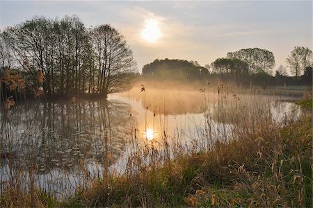 scenic landscape outdoor and inspiration - Fishing Pond at Sunrise, Gunzenau, Grebenhain, Vogelsberg District, Hesse, Germany Stock Photo - Premium Royalty-Free, Code: 600-07599974