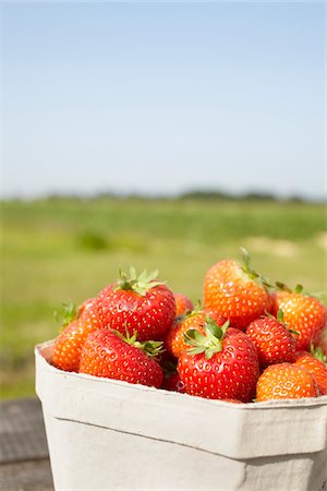 photo division - Close-up of freshly picked strawberries in box container outdoors, Germany Stock Photo - Premium Royalty-Free, Code: 600-07600010
