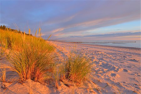 simsearch:600-07636975,k - Dunes and Marram Grass at Sunrise, Zingst, Fischland-Darss-Zingst, Mecklenburg-Western Pomerania, Germany Stock Photo - Premium Royalty-Free, Code: 600-07636978