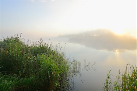 Lake at Sunrise on Misty Morning, Fischland-Darss-Zingst, Mecklenburg-Western Pomerania, Germany Photographie de stock - Premium Libres de Droits, Code: 600-07636997