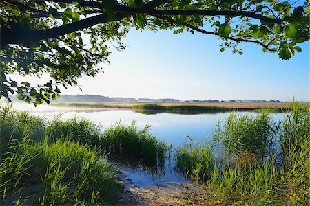 fischland-darss-zingst - Prerowstrom in Morning, Prerow, Fischland-Darss-Zingst, Mecklenburg-Western Pomerania, Germany Stock Photo - Premium Royalty-Free, Code: 600-07636999