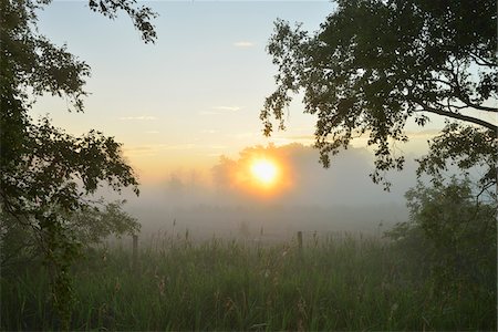 simsearch:600-07637015,k - Landscape on Misty Morning at Sunrise, Fischland-Darss-Zingst, Mecklenburg-Western Pomerania, Germany Foto de stock - Sin royalties Premium, Código: 600-07636991