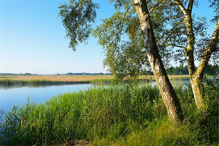 fischland-darss-zingst - Prerowstrom in Morning, Prerow, Fischland-Darss-Zingst, Mecklenburg-Western Pomerania, Germany Stock Photo - Premium Royalty-Free, Code: 600-07637001