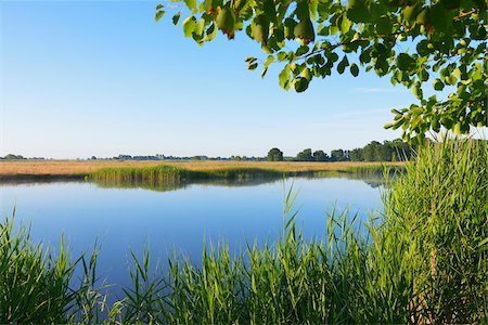 fischland-darss-zingst - Prerowstrom in Morning, Prerow, Fischland-Darss-Zingst, Mecklenburg-Western Pomerania, Germany Stock Photo - Premium Royalty-Free, Code: 600-07637002