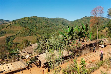 Huts in Akha Village, Mae Salong, Golden Triangle, Chiang Rai Province, Thailand Stock Photo - Premium Royalty-Free, Code: 600-07656440