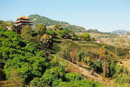 Mae Salong, Golden Triangle, Chiang Rai Province, Thailand Photographie de stock - Premium Libres de Droits, Code: 600-07656442