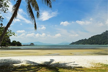 palm trees in the sky - Teluk Dalam, Pulau Pangkor, Perak, Malaysia Stock Photo - Premium Royalty-Free, Code: 600-07656499