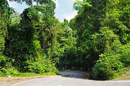 Road through Rainforest, Pulau Pangkor, Perak, Malaysia Stock Photo - Premium Royalty-Free, Code: 600-07656504