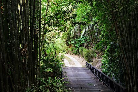 perak - Country Road, Pulau Pangkor, Perak, Malaysia Foto de stock - Sin royalties Premium, Código: 600-07656511