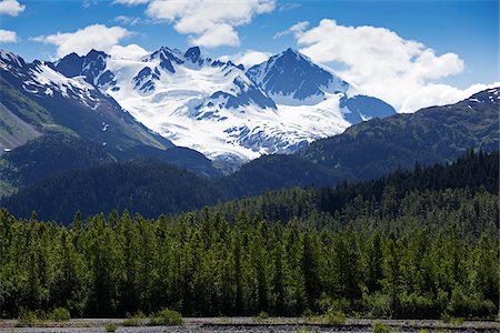 snow trees mountain - Kenai Fjords National Park, Alaska, USA Stock Photo - Premium Royalty-Free, Code: 600-07650784